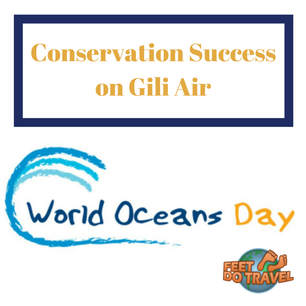 World Oceans Day 2019 - Greenpeace International