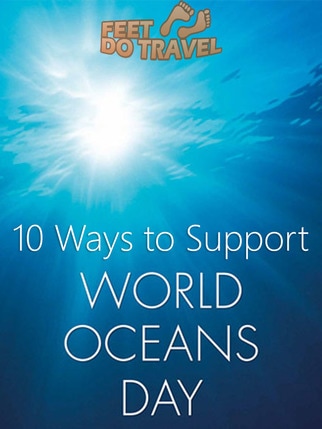 World Ocean's Day on 8 June gives us a chance to celebrate, honour, help protect and conserve the world’s Oceans. If we all play a small part, it can make a huge difference. Here are 10 easy ways you can support our world's oceans. #WorldOceansDay #OceansDay #CleanSeas #Ocean #Oceans #OceanHeroes #OceanConservation
