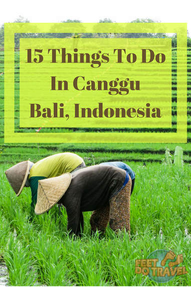 If you’re visiting Bali, Indonesia then Canggu needs to be on your list. An up-and-coming bohemian hangout for digital nomads, surfers and yogis, it offers a more chilled and relax vibe than its Kuta and Seminyak neighbours. Let Feet Do Travel show you 15 of the best things to do in Canggu. #canggu #bali #baliguide #beachesinseasia #streetart #indonesia #southeastasia #Indonesiatravel #WonderfulIndonesia #exploreindonesia #incredibleindonesia #visitindonesia #travel #traveltips #travelguides