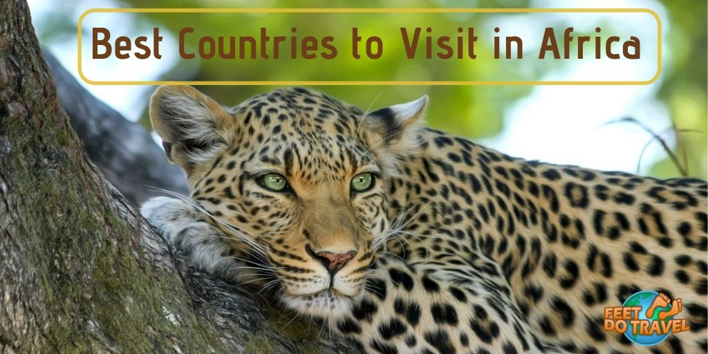 Best Countries to Visit in Africa, Chobe National Park Botswana, sand dunes of Namibia, Kilimanjaro Tanzania, The Gambia, Souks of Morocco, coffee in Ethiopia, safari in Congo, Feet Do Travel