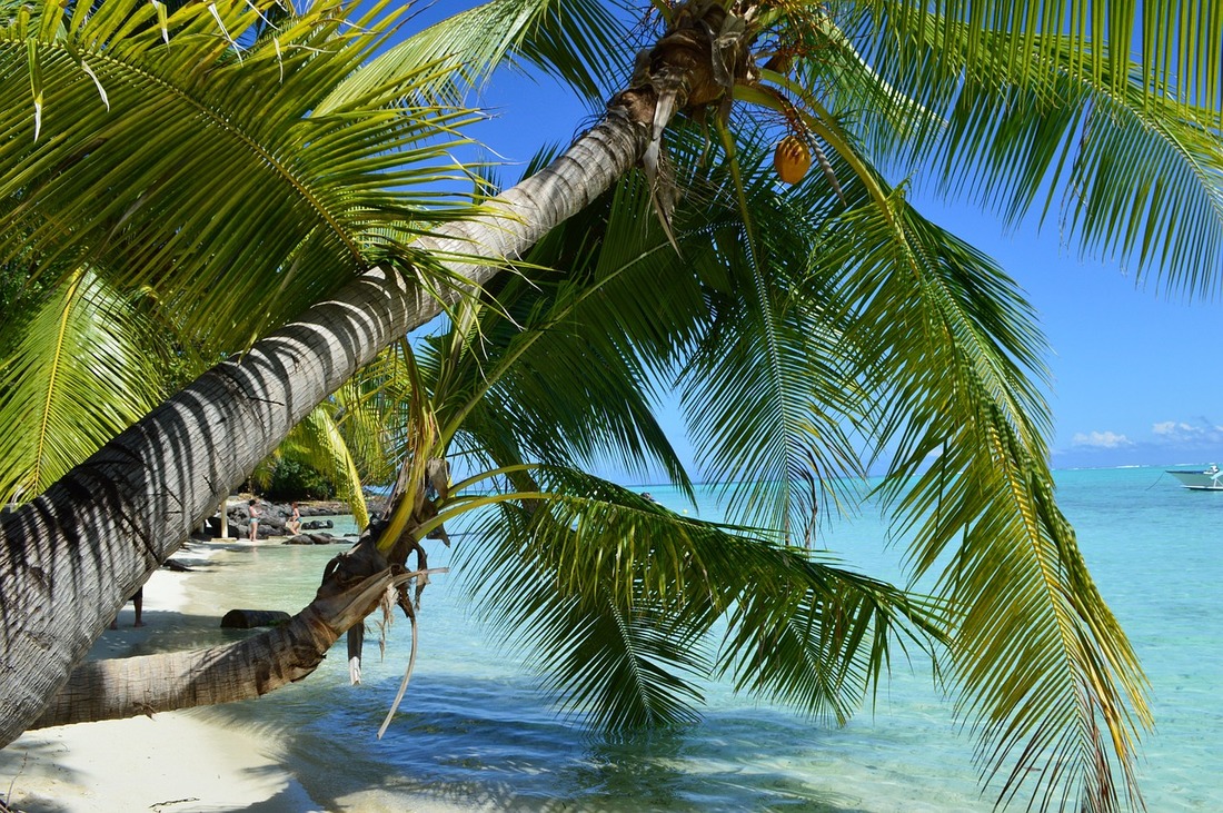 Bora Bora French Polynesia Tahiti's Paradise
