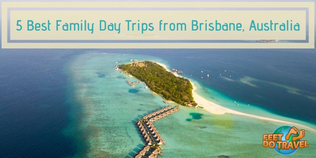 5 best family day trips from Brisbane, Australia, Moreton Island, Tangalooma Wrecks, Stradbroke Island, Mt Coot-tha, Mount Coot Tha sunset, South Bank, Currumbin Wildlife Sanctuary, Feet Do Travel