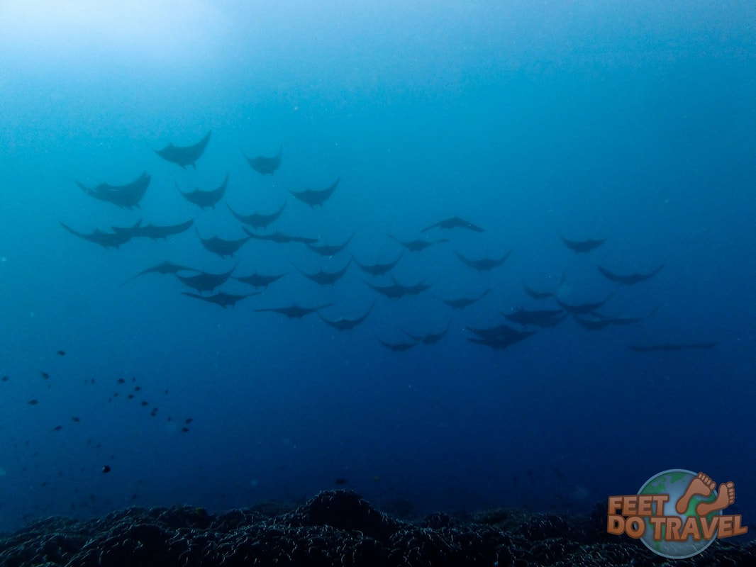 Scuba Diving the Gili Islands, Indonesia, Manta Dive Gili Trawangan, Gili Air, Oceans 5 Feet Do Travel