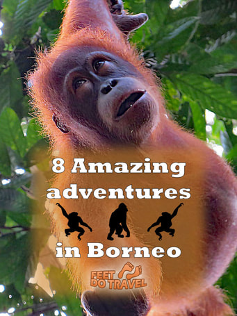 Borneo is amazing with so much to see and do, it's difficult to pick what to see first. Here are our 8 tips for a first time visitor.