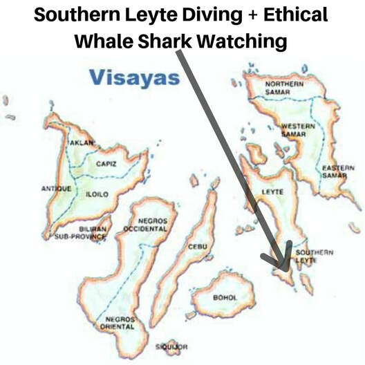 Diving Sogod Bay, Leyte: An Undiscovered Paradise, Best diving in the Philippines, Southern Leyte Dive Sites, Swim with Whale Sharks, Padre Burgos pier and jetty, Muck diving and super macro Maltibog Lembeh, Max Climax, Napantao, Feet Do Travel