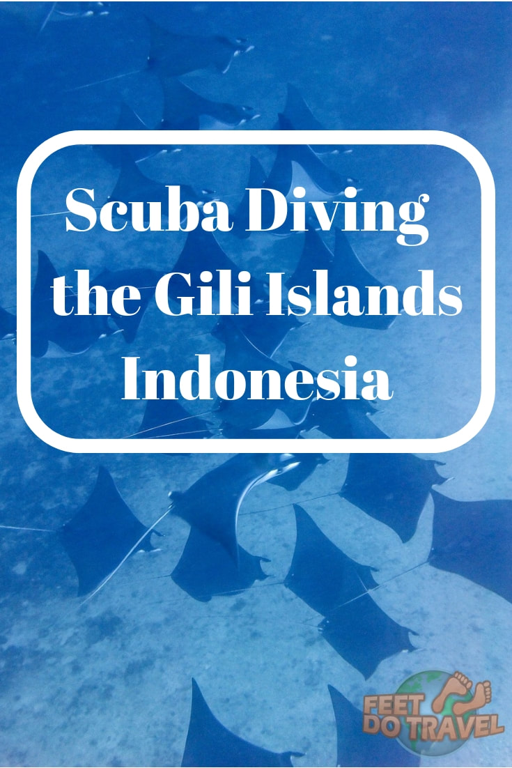 The Gili Islands are a popular dive destination in Indonesia. Gili Air & Gili Trawangan are in the heart of the Coral triangle, offering beauty above and below water. A year round destination and 26+ dive sites, Feed Do Travel show you Scuba Diving the Gili Islands. #scuba #scubadiving #diving #indonesia #divetrip #gili #indotravellers #incredibleIndonesia #wonderfulindonesia #exploreindonesia #visitindonesia #baliguide #southeastasia #giliIslands #giliair #gilitrawangan #travel