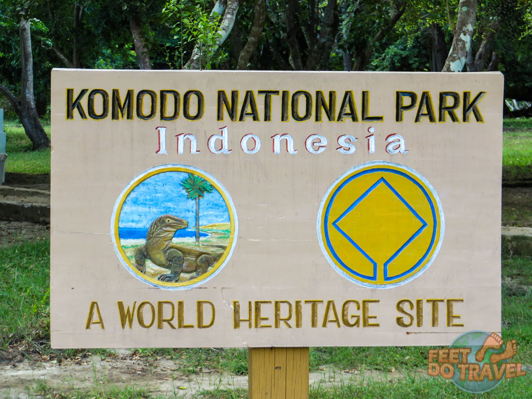 Things to do in Flores, Indonesia, Komodo Dragons, Manta Rays, Kelimutu, Feet Do Travel