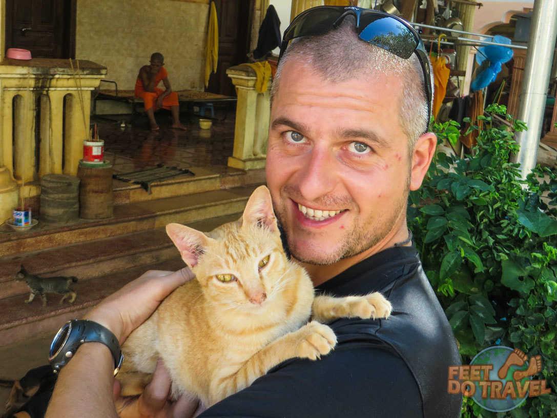Siem Reap Pagoda Cats, Cambodia, better than a cat café for Cat Crazy Feet Do Travel
