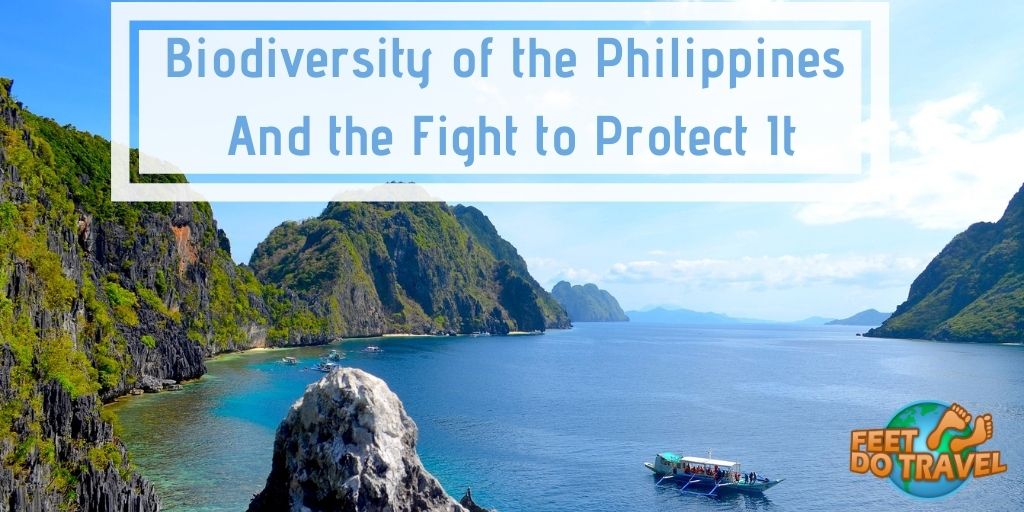 Biodiversity of the Philippines and the fight to protect it, environmental threat, pollution, unsustainable harvesting, over fishing, habitat loss, lack of tourists due to Coronavirus Covid-19 pandemic, improve awareness, Feet Do Travel