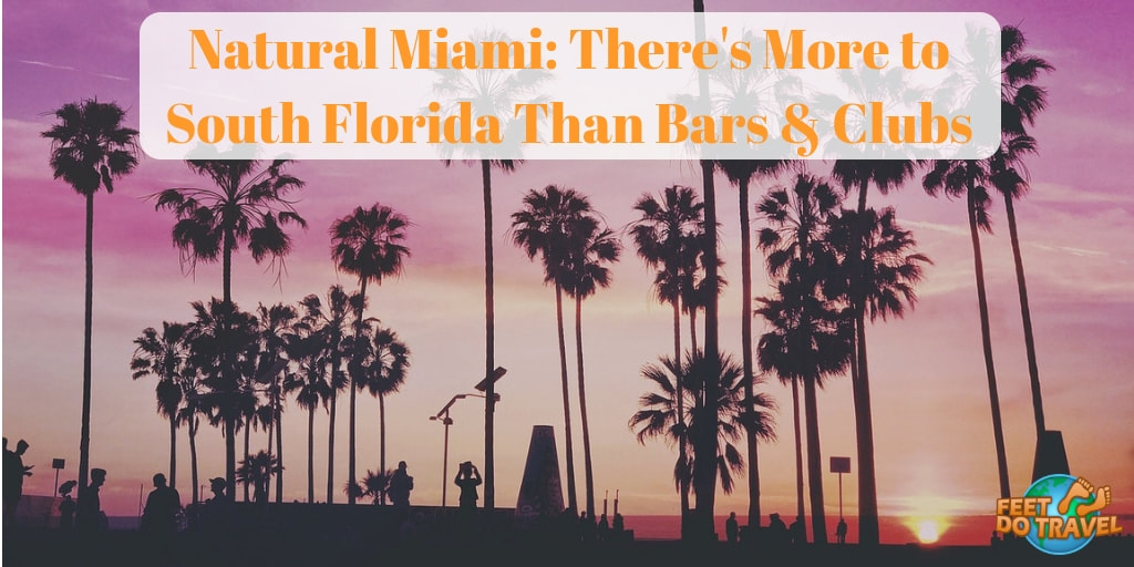 Natural Miami, There’s more to South Florida than Bars & Clubs, Party City, Oleta River State Park, Biscayne Bay, Everglades National Park, Wynwood Walls, Feet Do Travel