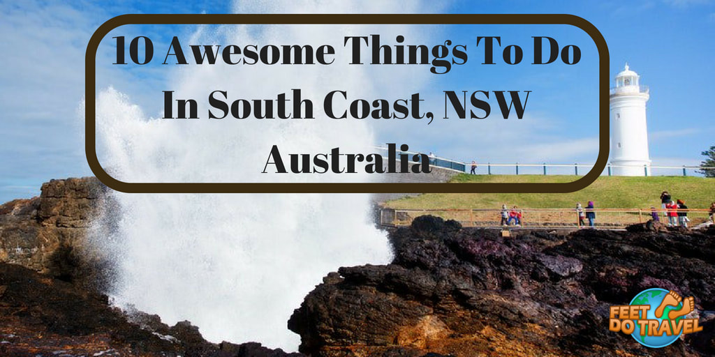 Awesome things to do in South Coast, New South Wales, Australia, whale watching in Jervis Bay, surfing, Bondi Beach, Surfer’s Paradise, kayaking, wine tasting, cheese tasting, kangaroos at Pebbly Beach, Kiama, Wollongong, NSW, Feet Do Travel