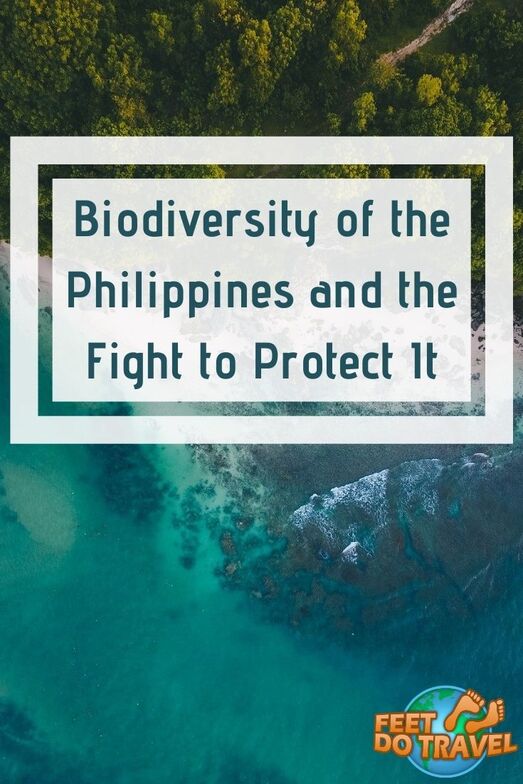 Located in the heart of the coral triangle, the Philippines is one of the most biodiverse regions in the world, but it’s under threat. Feet Do Travel share biodiversity of the Philippines, and the fight to protect it. #philippines #itsmorefuninthephilippines #ecotourism #responsibletravel #greentravel #sustainabletravel #environment #travel 