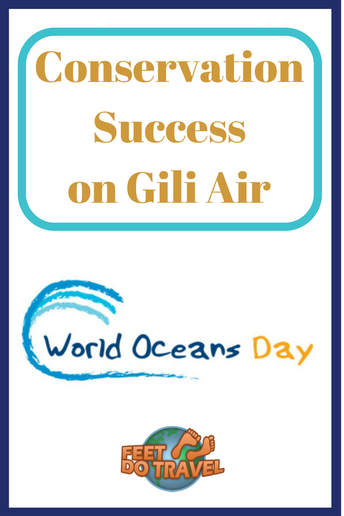 World Oceans Day on 8 June is a chance for us to show respect for our #oceans, and remind ourselves how important they are to our lives. I'm going to share how small and steady changes on GIli Air, Indonesia have proven successful to the island's conservation. #WorldOceansDay #OceansDay #CleanSeas #Ocean #OceanHeroes #OceanConservation #BeatPlasticPollution #GiliSharkConservation #PlasticFreeParadise #SayNoToPlastic #GiliAir #GiliAirIsland #GiliIslands #travel #travelblog #travelblogger 